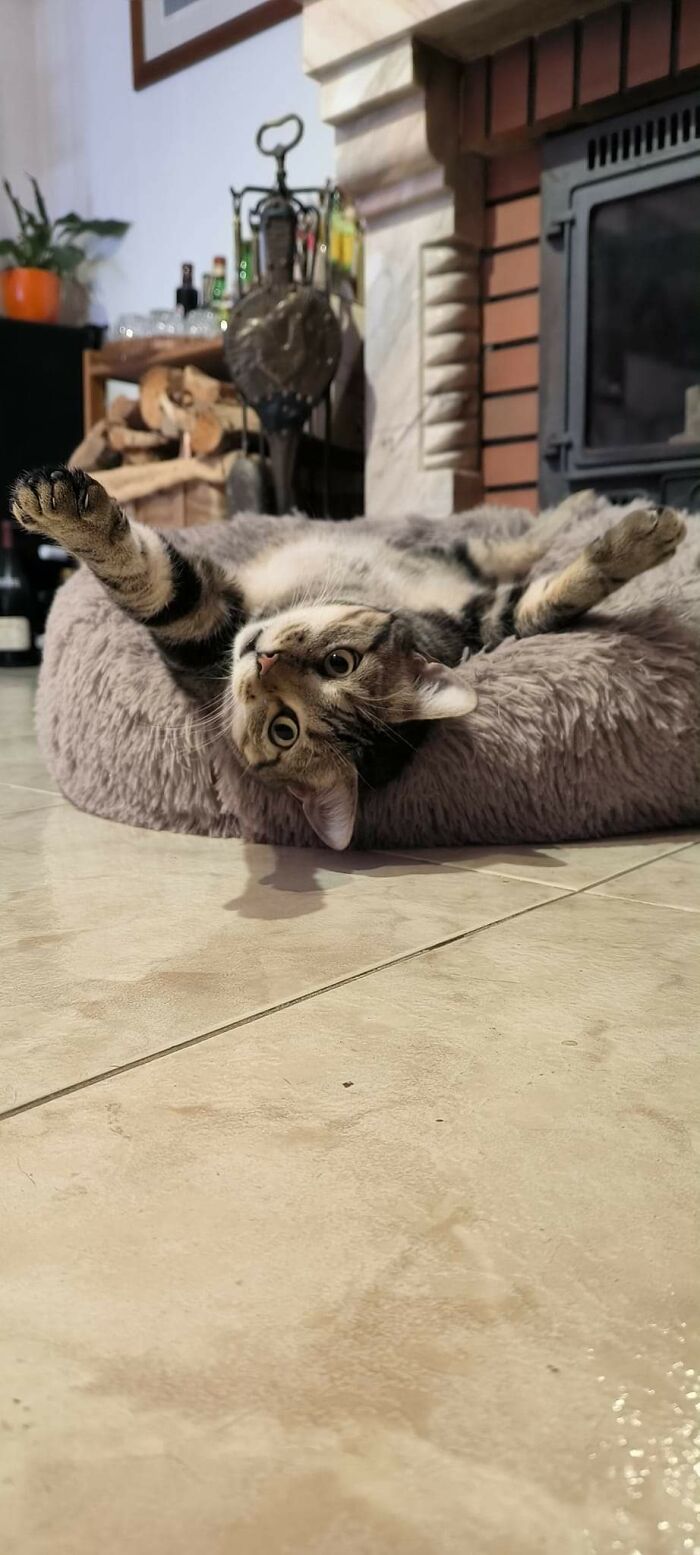 Hi To Lazy Pandas... From Jonas