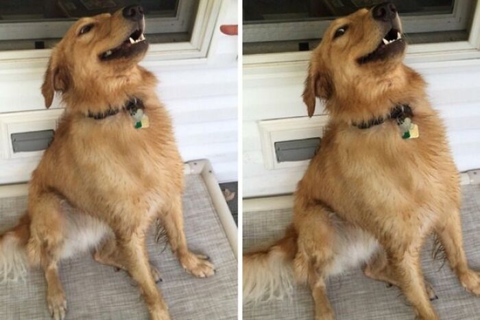 No, I’m Not Plotting Anything