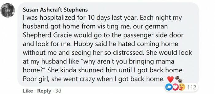 Heartbroken Dog Refuses To Leave The Door While Waiting For Her Dad To Get Back From The Hospital