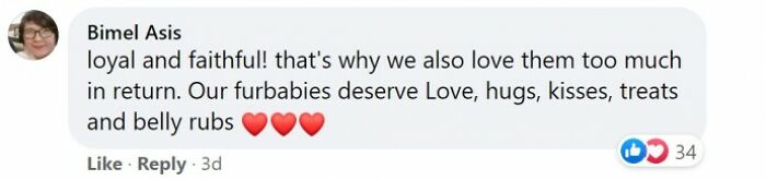 Heartbroken Dog Refuses To Leave The Door While Waiting For Her Dad To Get Back From The Hospital