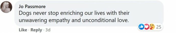 Heartbroken Dog Refuses To Leave The Door While Waiting For Her Dad To Get Back From The Hospital