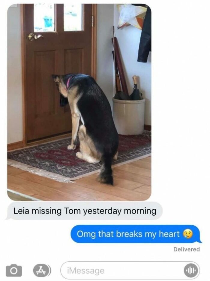 Heartbroken Dog Refuses To Leave The Door While Waiting For Her Dad To Get Back From The Hospital