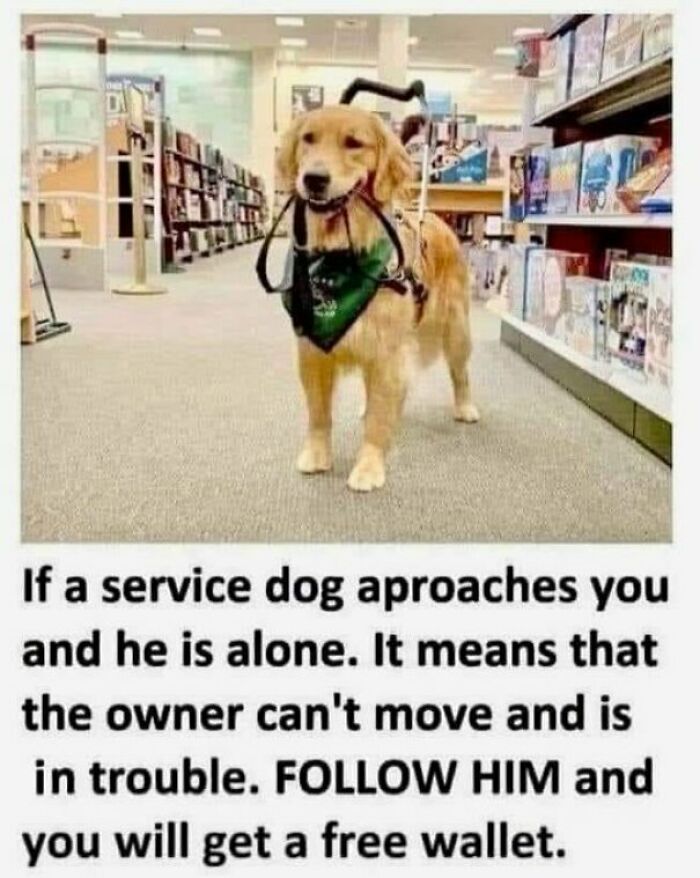 I Collected 20 Thoughts From My Head And Put Random Pictures Next To Them