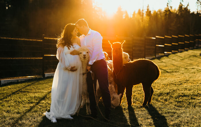 After I Gave Birth To My Daughter, She Became My Model In Recreating Fairytale Photoshoots After I Gave Birth To My Daughter, She Became My Model In Recreating Fairytale Photoshoots