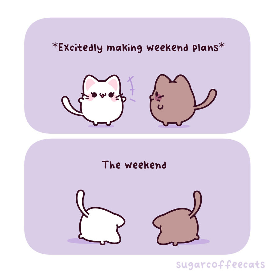 I Created These Cute Cat Comics To Find Joy In The World Again