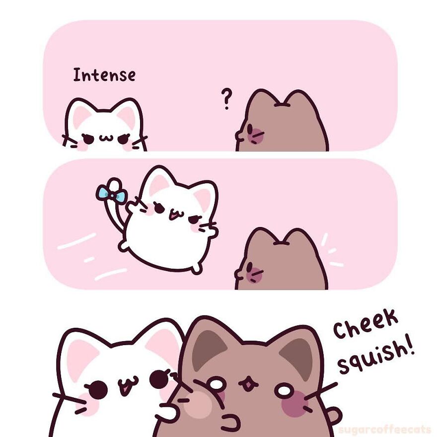 I Created These Cute Cat Comics To Find Joy In The World Again