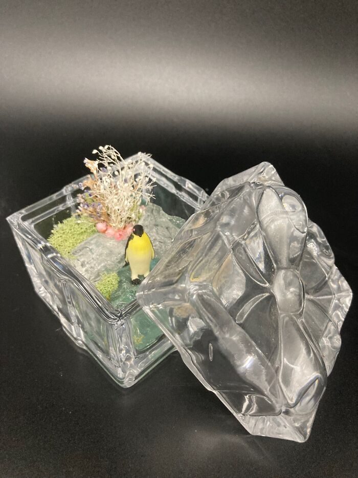 I Make Mini Worlds Out Of Real Flowers And Mosses (22 Pics)