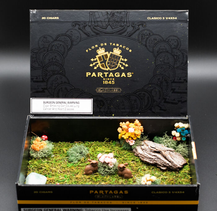 I Make Mini Worlds Out Of Real Flowers And Mosses (22 Pics)