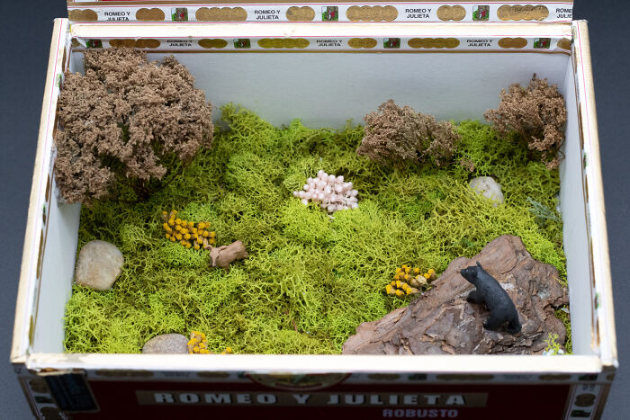 I Make Mini Worlds Out Of Real Flowers And Mosses (22 Pics)