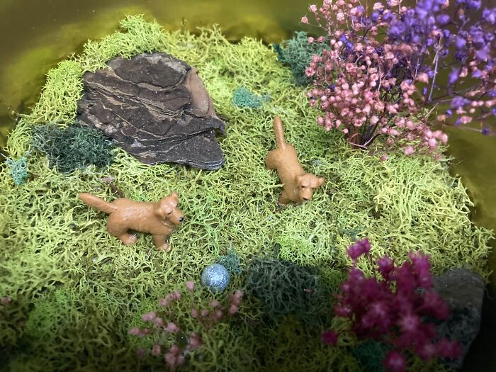 I Make Mini Worlds Out Of Real Flowers And Mosses (22 Pics)