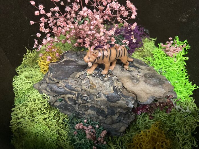I Make Mini Worlds Out Of Real Flowers And Mosses (22 Pics)