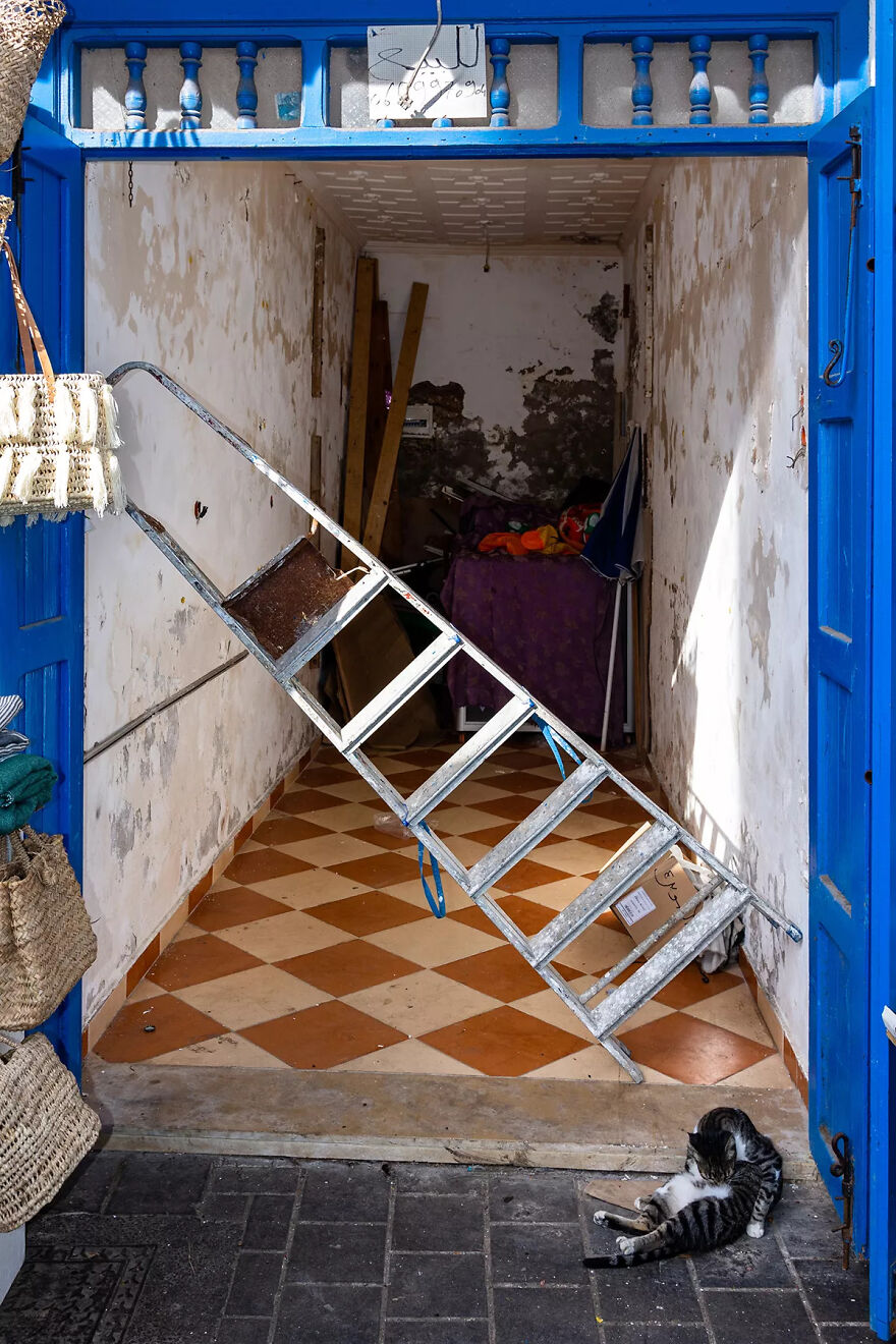 I Was Taking Photos Of Stray Cats Hours Before The Earthquake