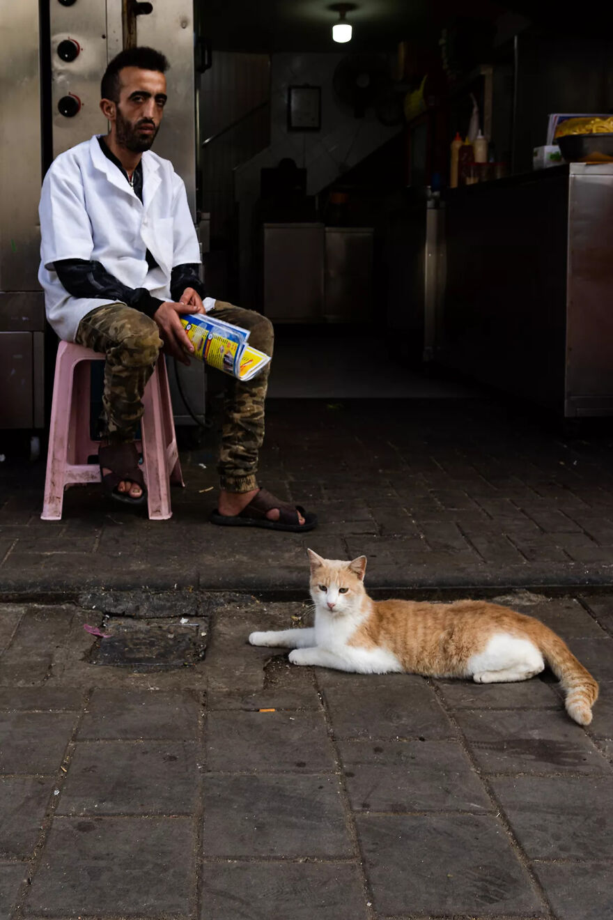 I Was Taking Photos Of Stray Cats Hours Before The Earthquake