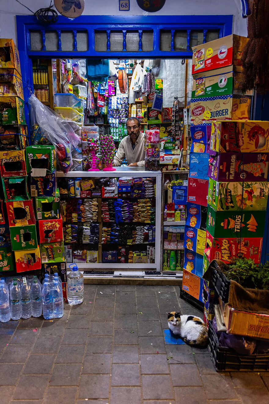 I Was Taking Photos Of Stray Cats Hours Before The Earthquake