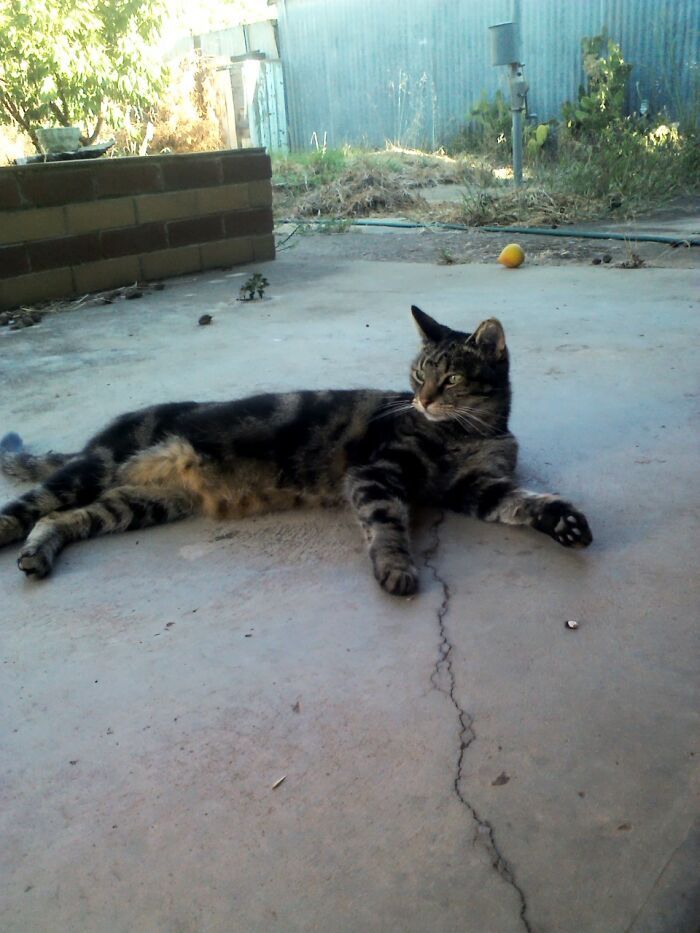 My Poor Sweet Baby, Princess Bubblegum...rip.....i'll Miss Her Forever