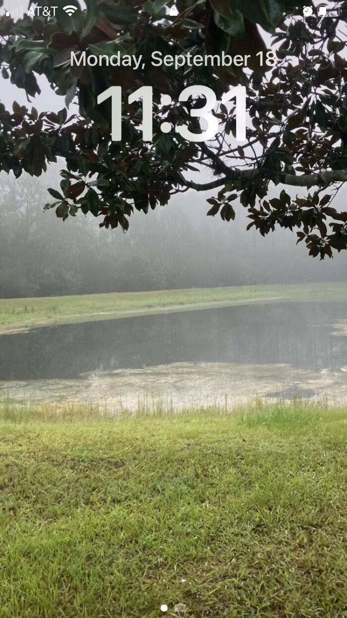 It’s Just A Photo I Liked