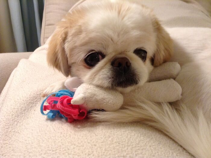 Taffy With My(Her)littlepony