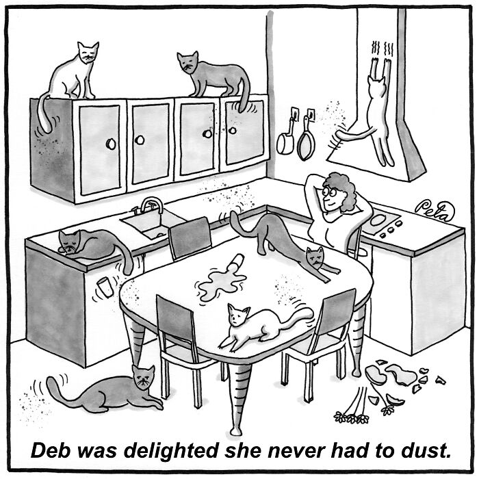 Cat Dusting