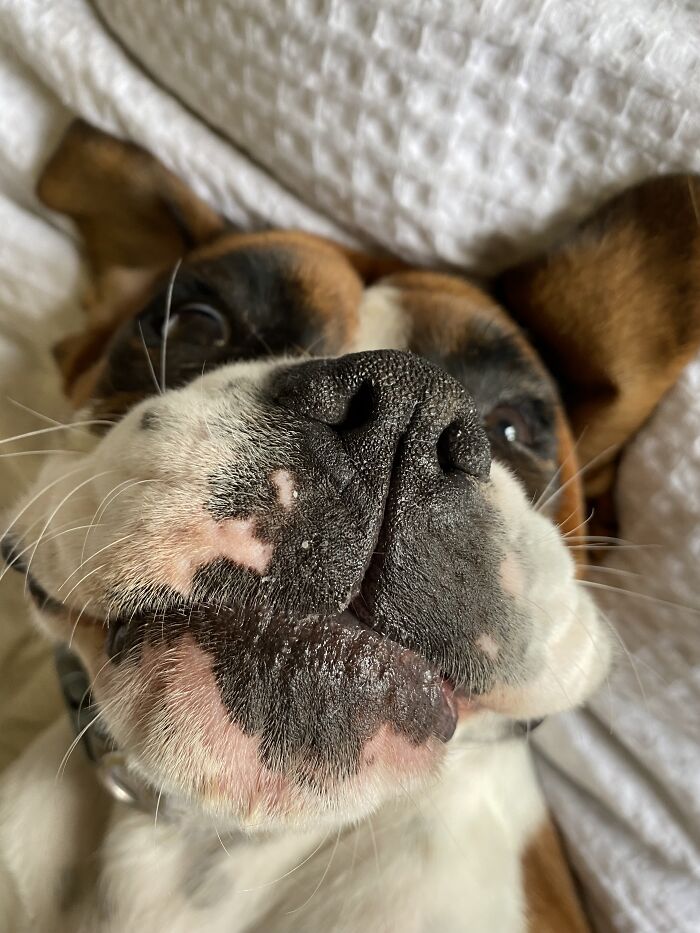 “Upside Down Miss Jane”