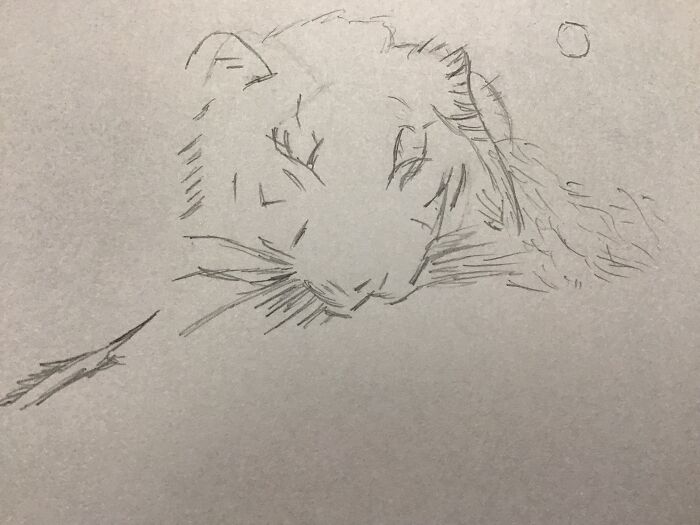 Not Especially Proud Of It, But Here It Is