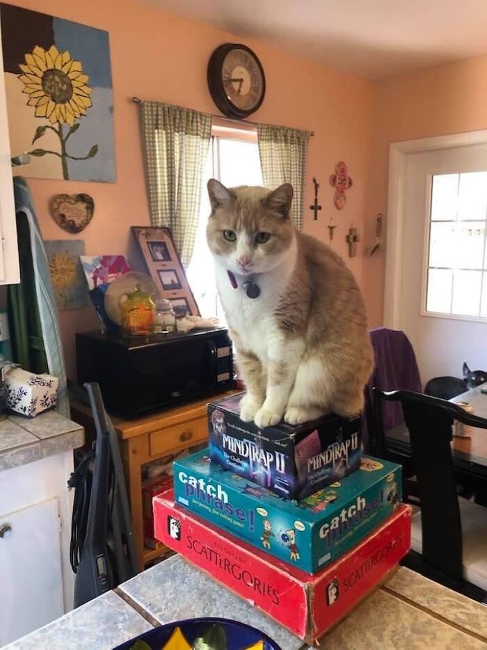 The Queen On Her Throne