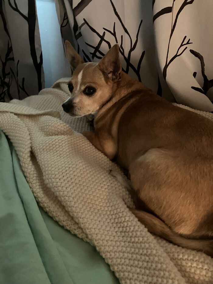 I’m At My Dad’s Right Now So I’ll Post The Most Recent One