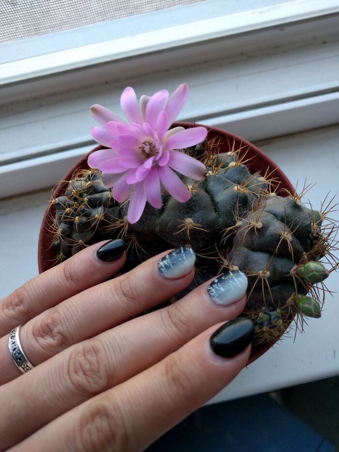 Black & White Nails :)