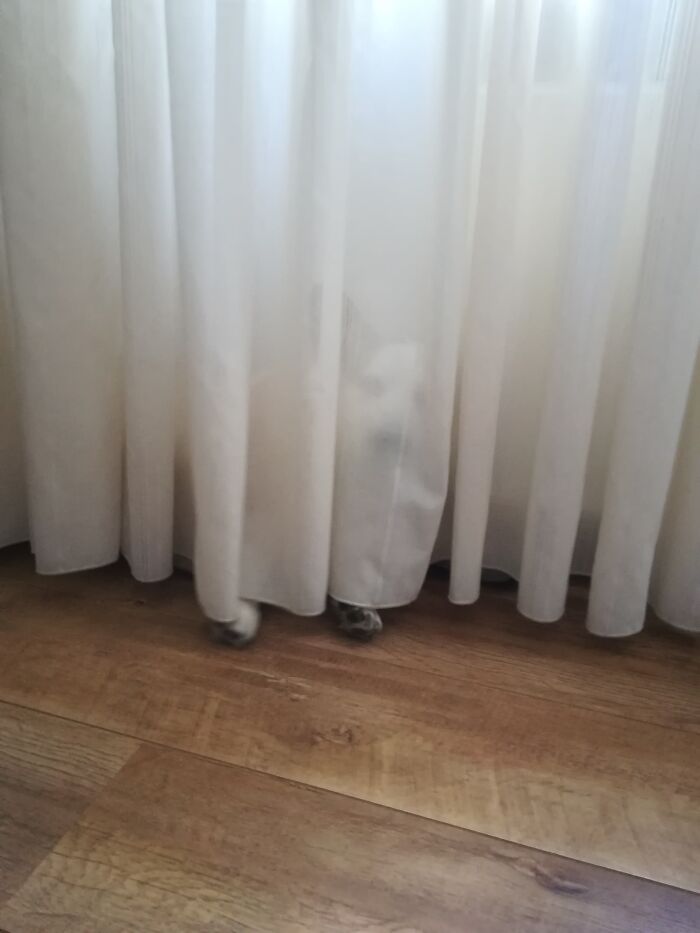 Don't Worry, It's Not A Ghost