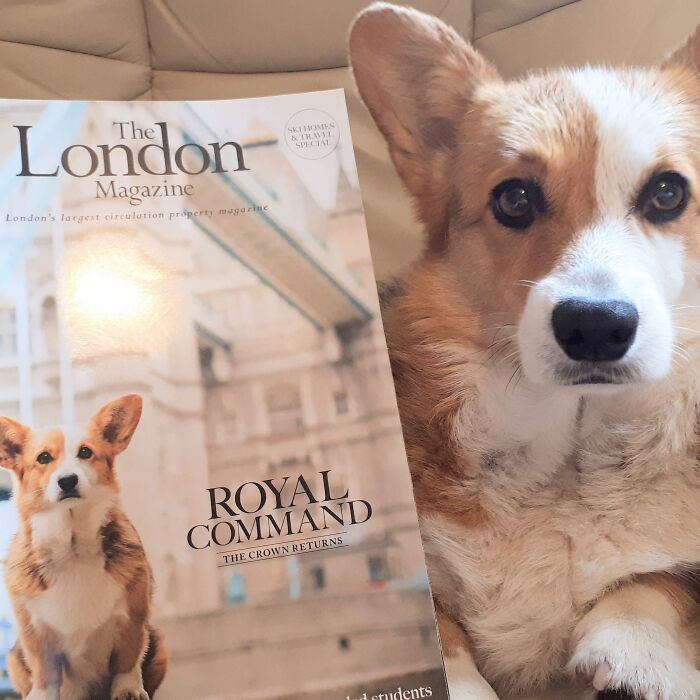 Woofles Is A Model And Has Been In Quite A Few Things