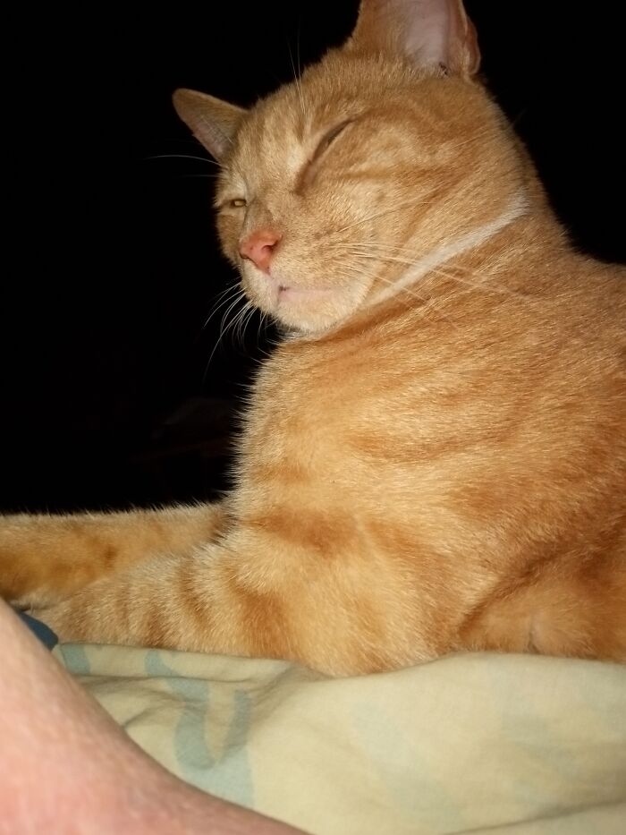 Trouble Listening To Glass Onion