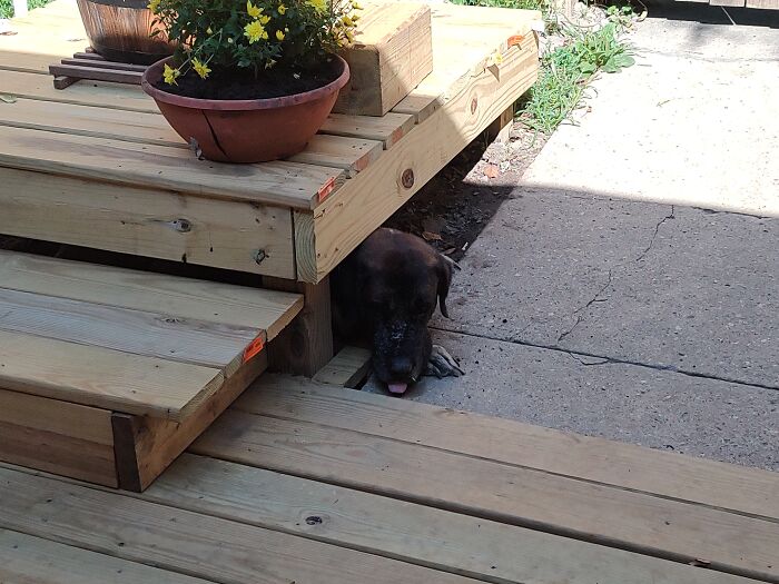 Loyal, Just Staying Cool Carlos Santana