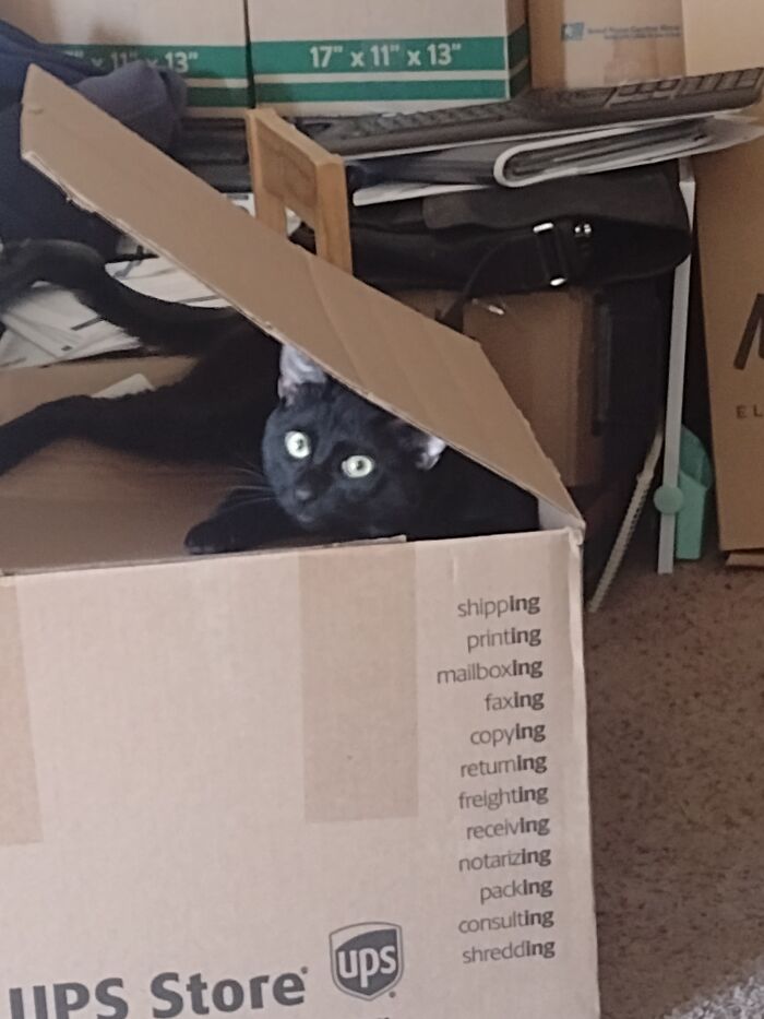 Thinks We Can't See Him