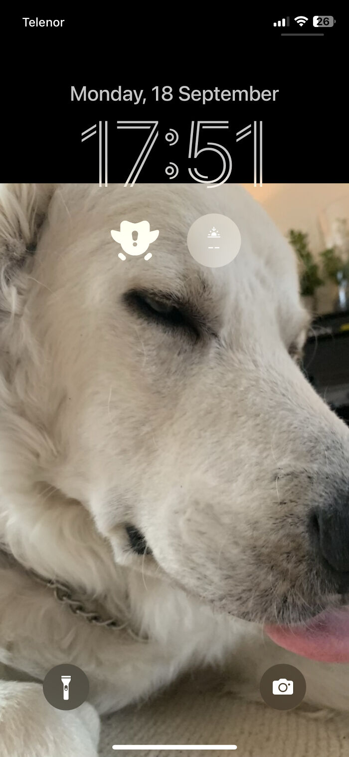 Blep Performed By Lucas The Dog