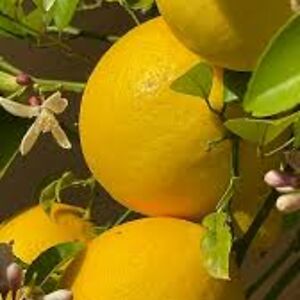 gracealexander15_1 avatar