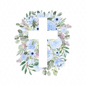 willowmaehayes avatar