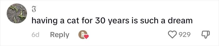 Cat Lovers Rejoice As New Medicine Will Extend Cat Lifespan To 30 Years