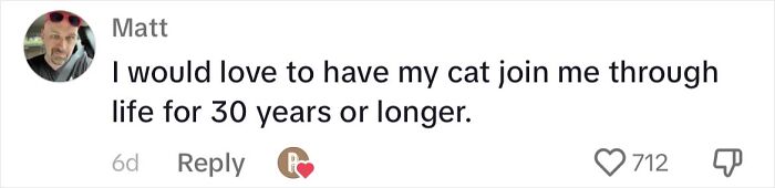 Cat Lovers Rejoice As New Medicine Will Extend Cat Lifespan To 30 Years