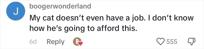 Cat Lovers Rejoice As New Medicine Will Extend Cat Lifespan To 30 Years