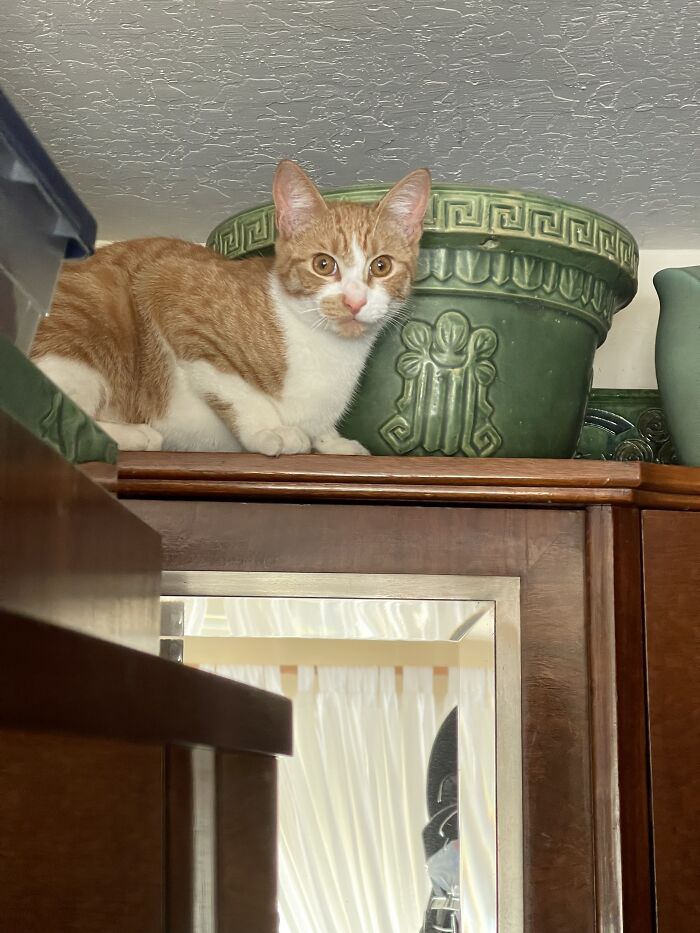 Second Day In My New Home, 7’ Up!, Pottery, Beware‼️