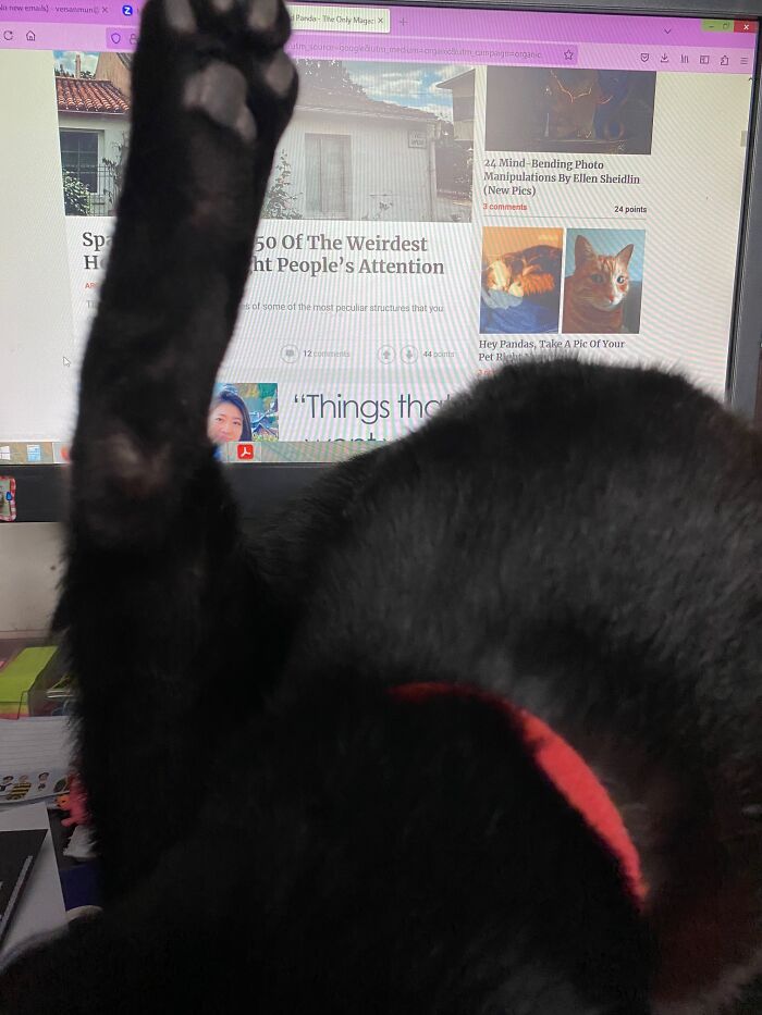 Hades Taking A Bath With The Bored Panda Post Behind