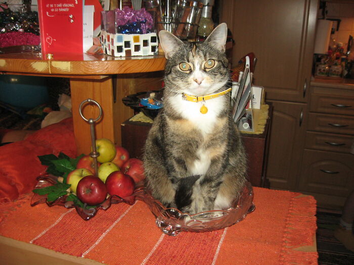 Kiki In Crystal Bowl