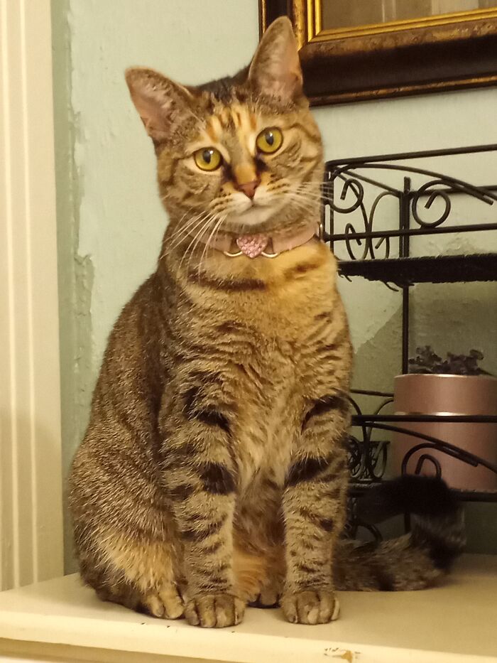 This Is My 2yr Old Kalli Posing For Her Picture