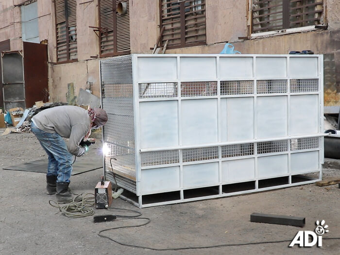 A special cage transporter for lion Ruben