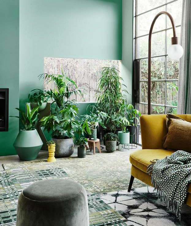 Mint green living room with plants and yellow sofa Mint green living room with plants and yellow sofa