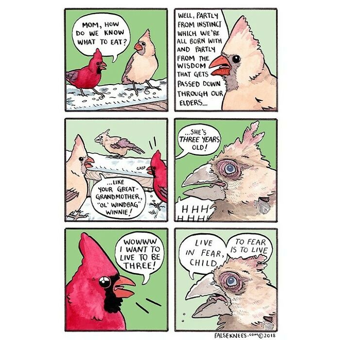 New Humorous And Often Surreal Illustrations Of Animals And Nature