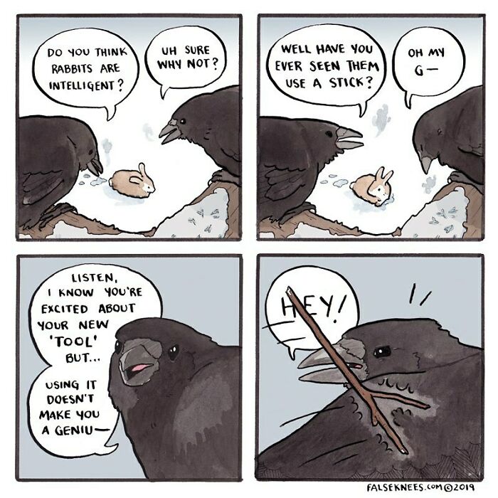 New Humorous And Often Surreal Illustrations Of Animals And Nature