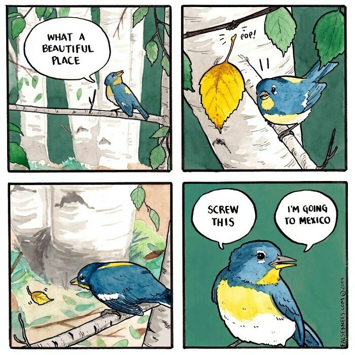 New Humorous And Often Surreal Illustrations Of Animals And Nature