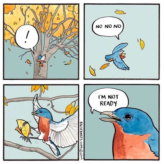 New Humorous And Often Surreal Illustrations Of Animals And Nature