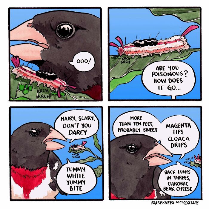 New Humorous And Often Surreal Illustrations Of Animals And Nature