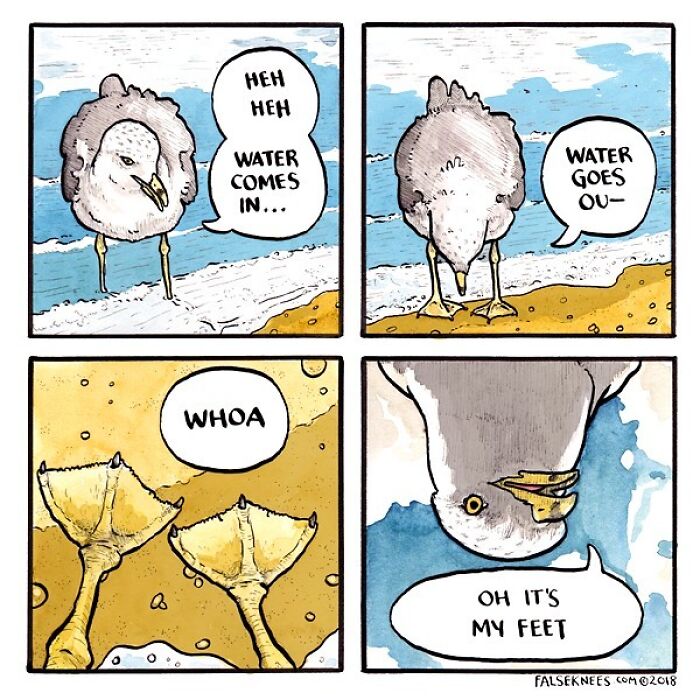 New Humorous And Often Surreal Illustrations Of Animals And Nature